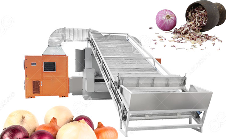 Mesh Belt Drying for Vegetables Mesh Belt Drying for Vegetables