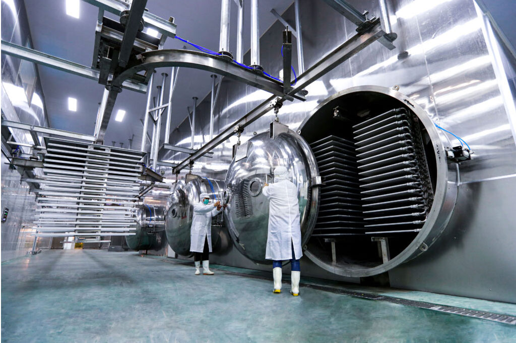Industrial Drying Solutions for Heat-Sensitive Food Products