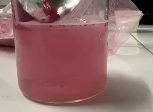 Botanical extract powder dispersion test in water after granulation trials