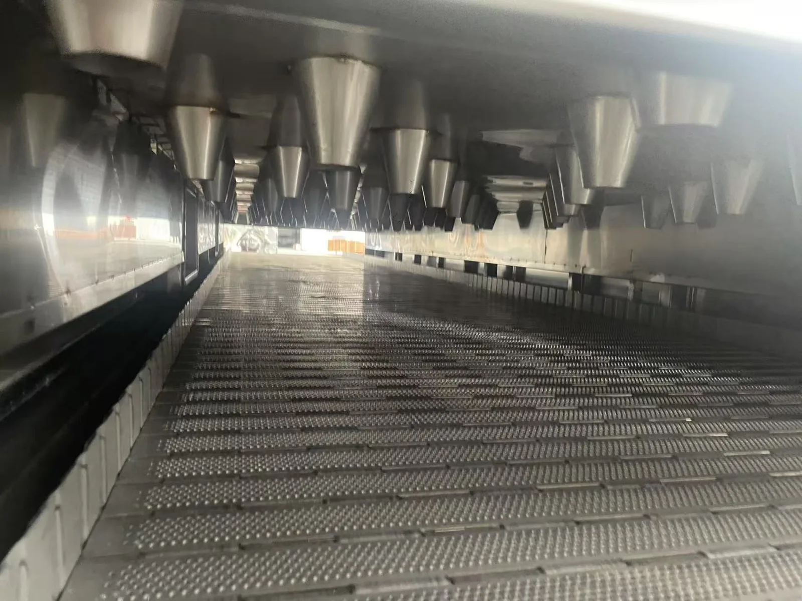 Stainless steel mesh conveyor inside the tunnel belt dryer